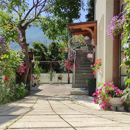 Vila Dzan Σαράγεβο Εξωτερικό φωτογραφία