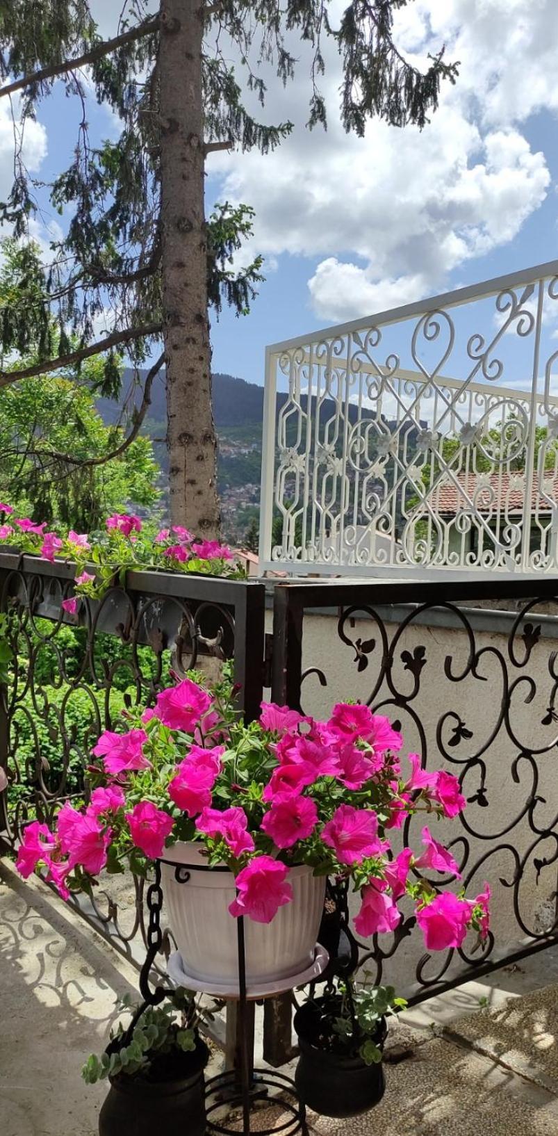 Vila Dzan Σαράγεβο Εξωτερικό φωτογραφία